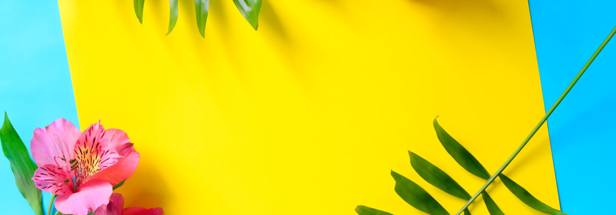 Yellow folder on blue background surrounded by tropical green plants and pink flower