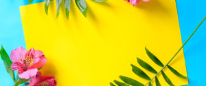 Yellow folder on blue background surrounded by tropical green plants and pink flower