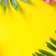 Yellow folder on blue background surrounded by tropical green plants and pink flower